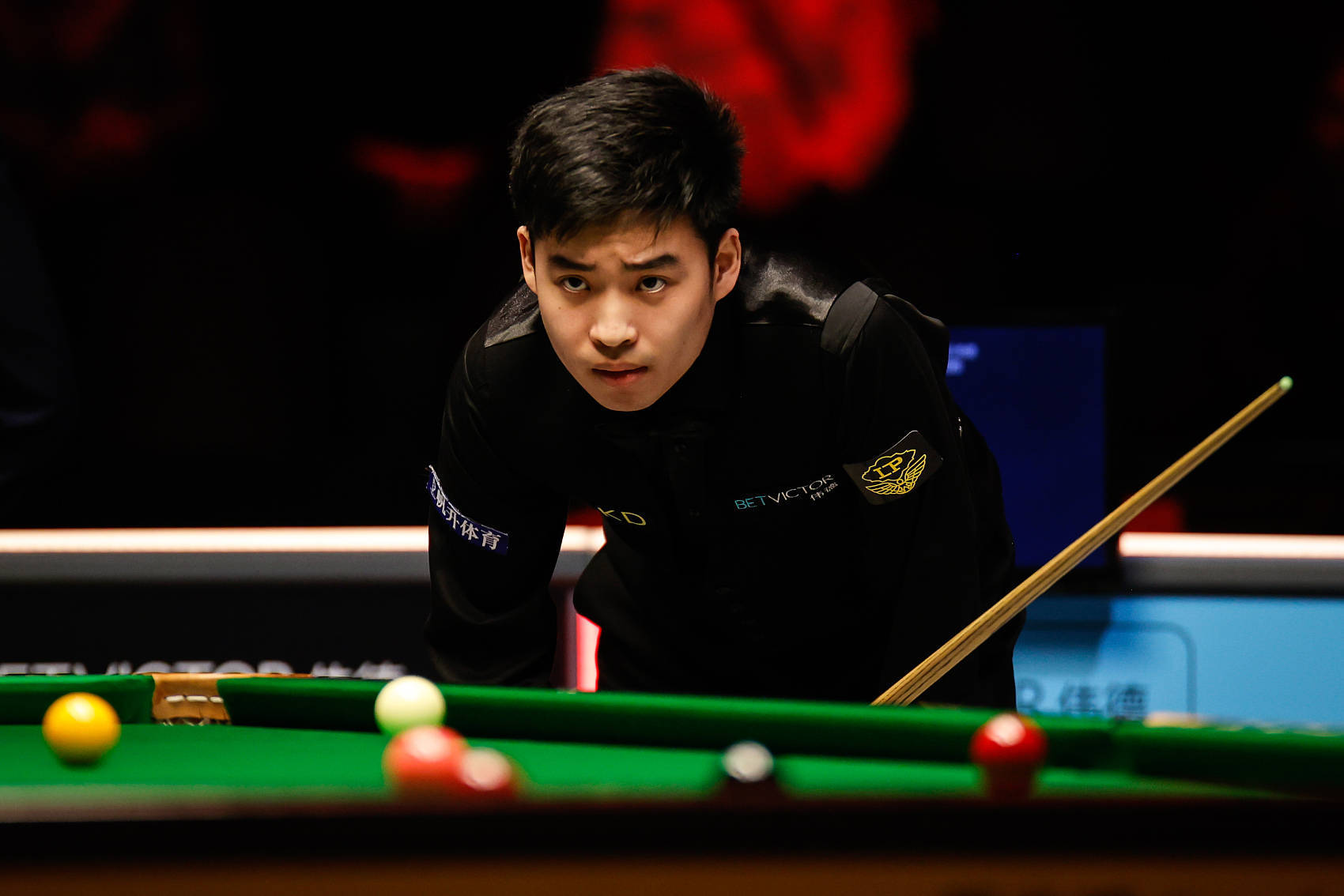 不挠的精神 不挠的精神