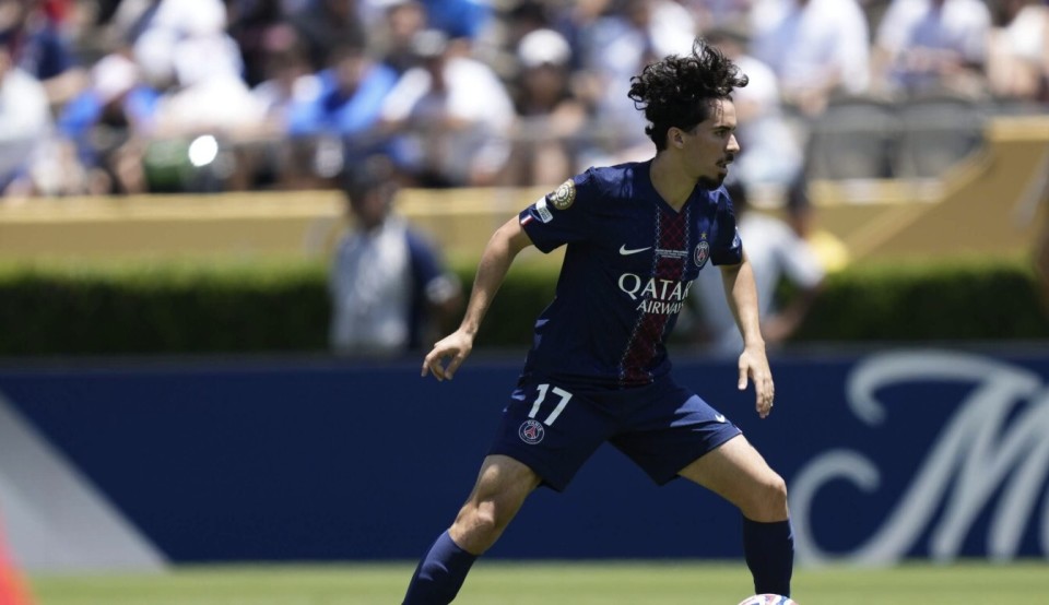 种高度肯定 种高度肯定