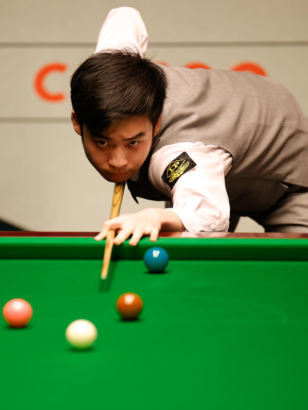 关注绿色环 关注绿色环