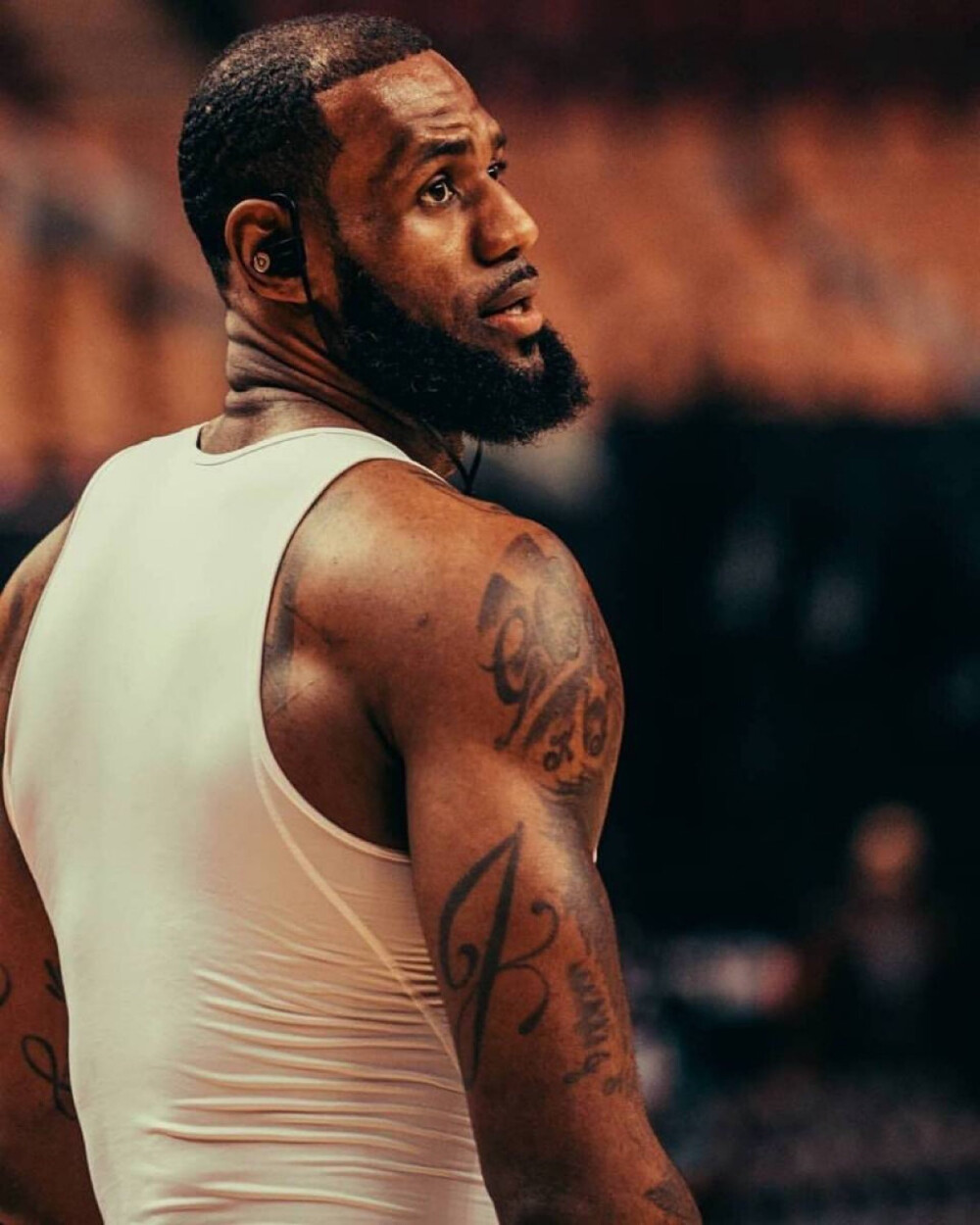 新增资金预 新增资金预